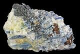 Vibrant Blue Kyanite Crystal Cluster in Quartz - Brazil #97973-1